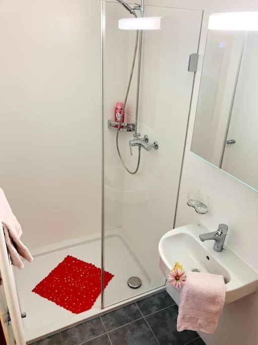 Appartement Chesa Margadant à Zuoz Extérieur photo