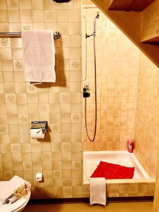 Appartement Chesa Margadant à Zuoz Extérieur photo